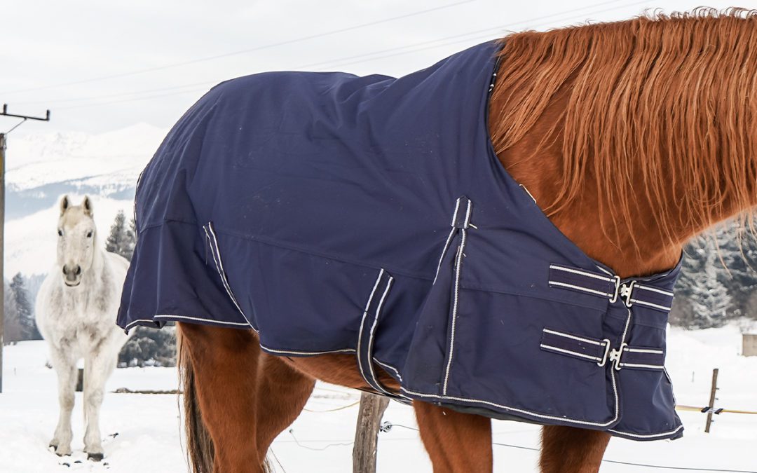 TVF is Your Equestrian Fabric Solution